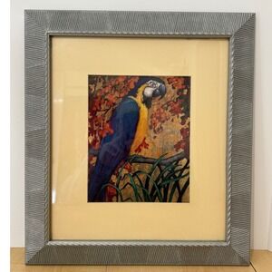 Framed Tropical Macaw Parrot Wall Art Print Rustic Gray Frame